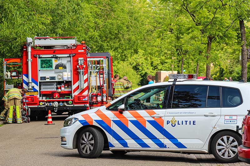 nieuws image